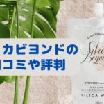 シリカビヨンドの口コミと評判