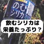 飲むシリカ栄養